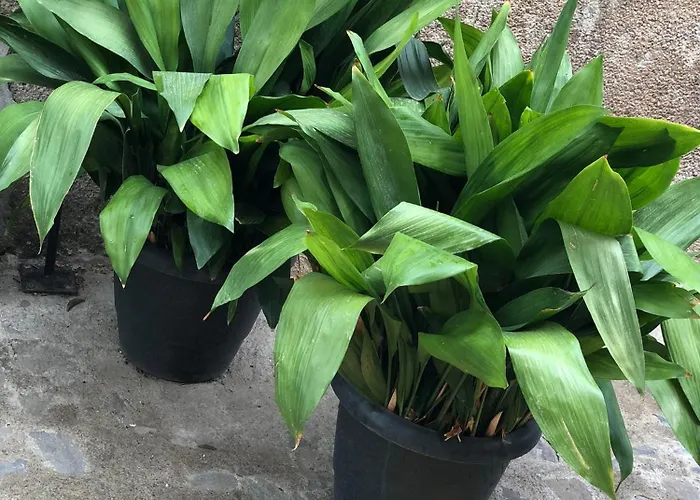 Casa Puri Vakantiehuis